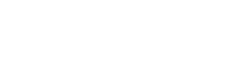 Data Services Perú